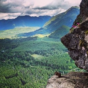 Meet your Posher, Farah